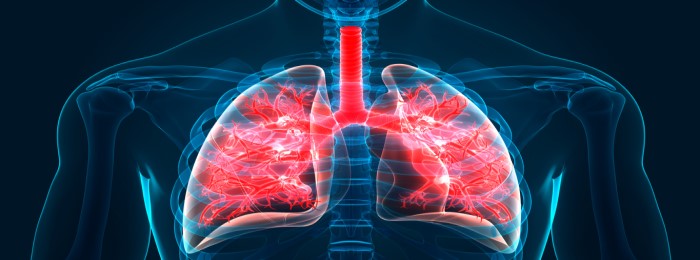 iStock_lungs_700x260